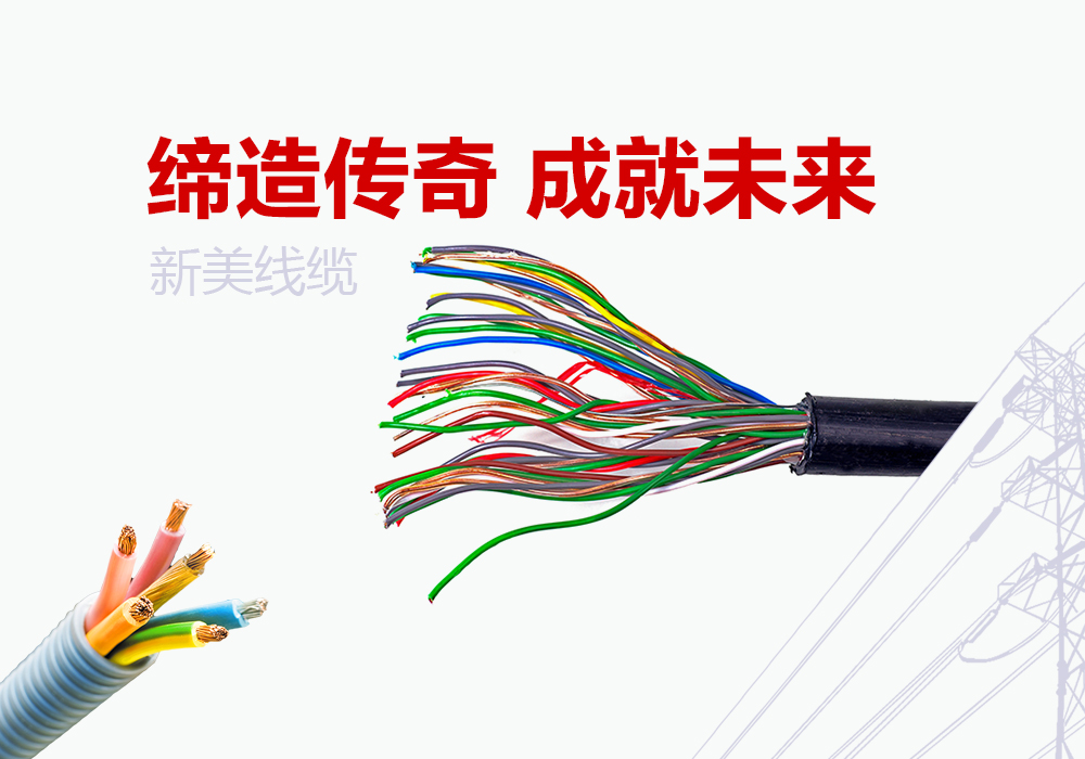 成都新美線(xiàn)纜有限公司項(xiàng)目案例