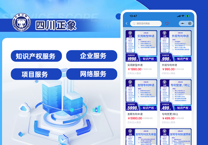 四川正象項(xiàng)目案例